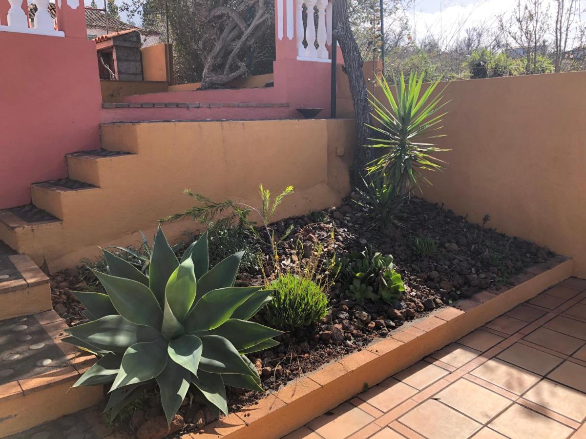 Casa Cesar Villa Puntagorda Dış mekan fotoğraf